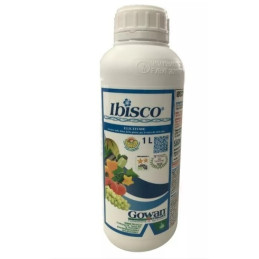 IBISCO LT.1